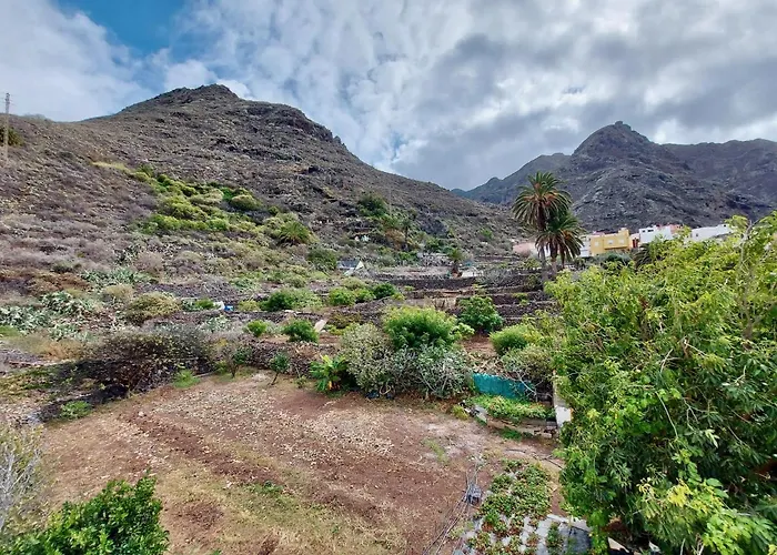 Apartment Casa Ana Con Jardin Punta Del Hidalgo